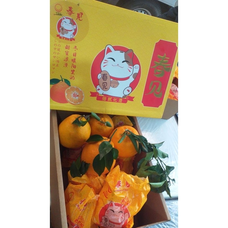 

jeruk papagan kucing berat 4 kg/ box