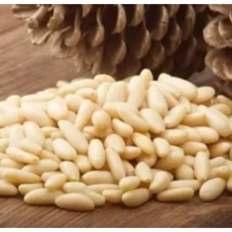 

Kacang Pinus, Pine Nuts Kemasan 1kg