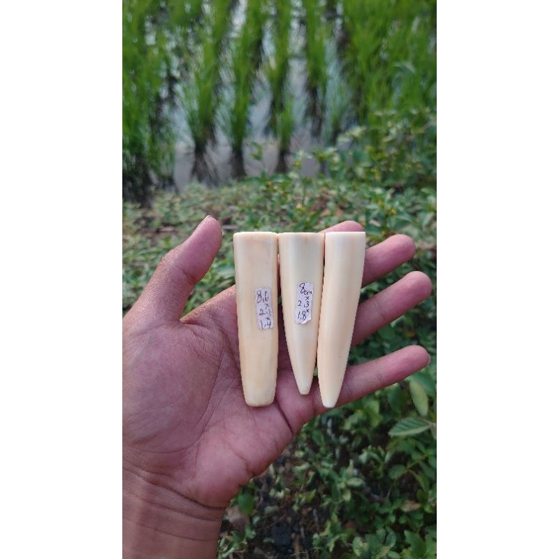 koleksi hoby  pipa tersedia berbagai ukuran