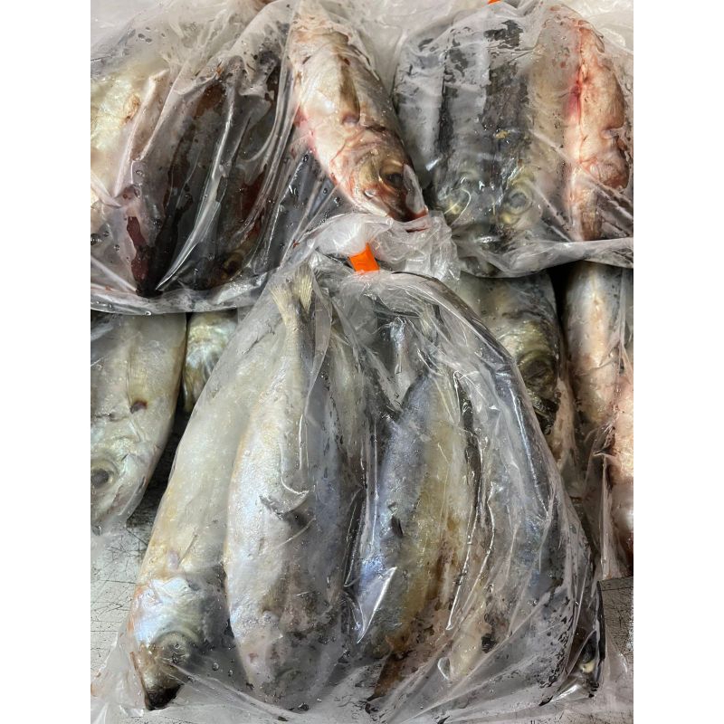 

ikan kembung premium 1 kg