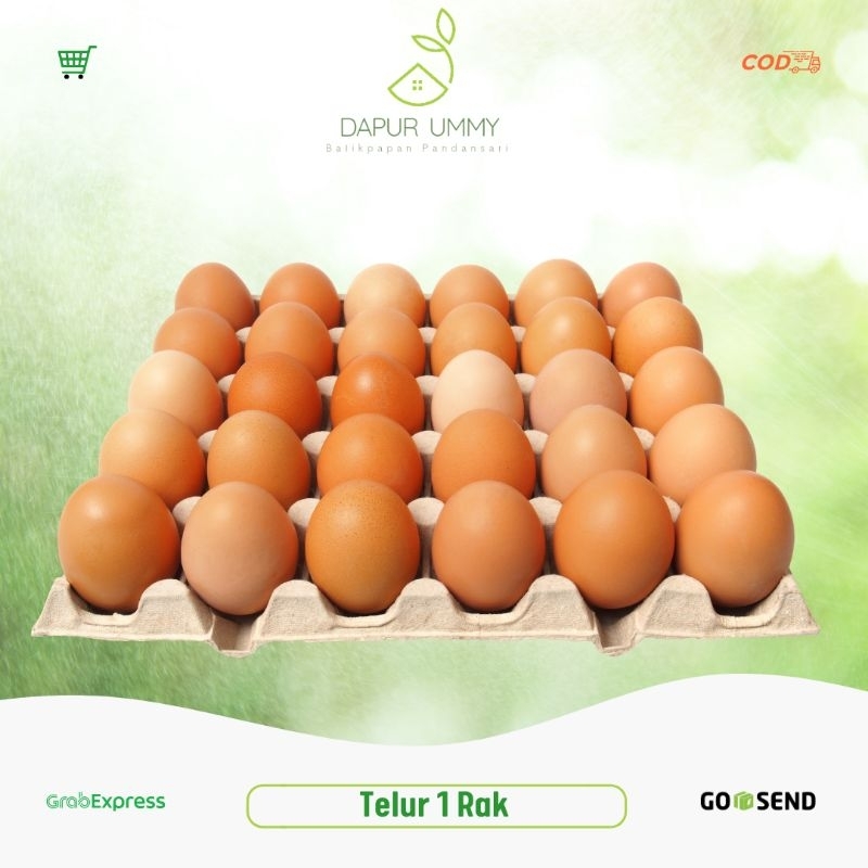 

Telur ayam Negri ukuran besar | ukuran Jumbo 30 butir