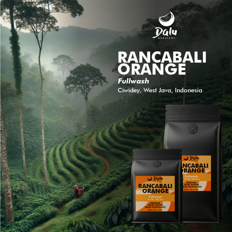 

Kopi Arabika Rancabali Orange 200 Gram