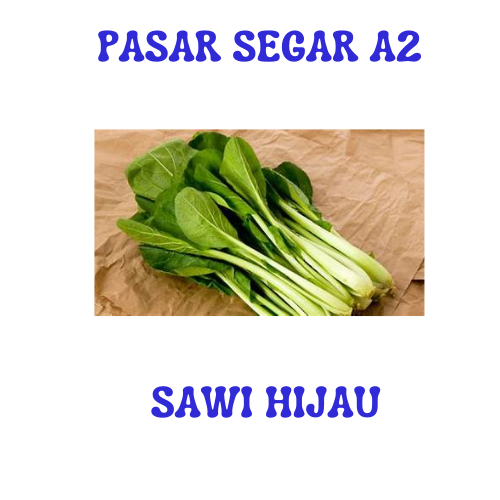 

SAYUR SAWI HIJAU PASAR SEGAR MAKASSAR/PASAR TERONG ONLINE MAKASSAR