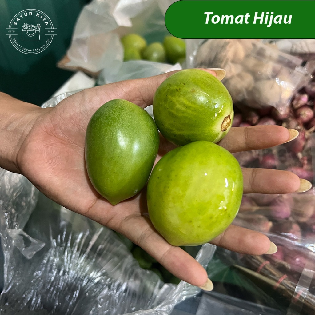 

Tomat Hijau Sayur Segar | sayurkita_id