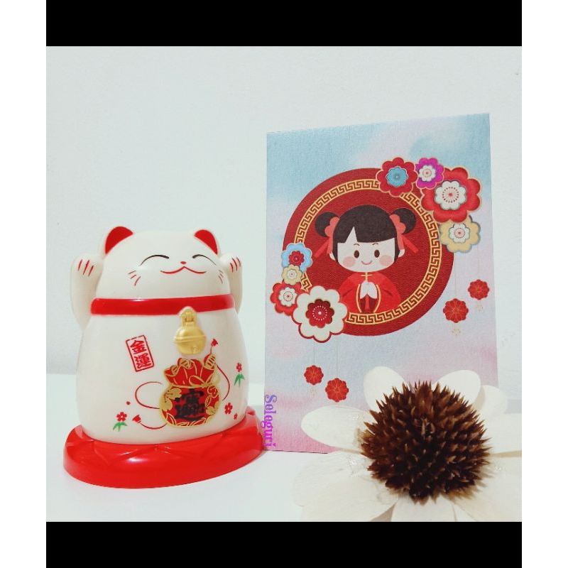 

ANGPAO CHINESE NEW YEAR KIDS =18 PCS(LIMITED EDITION)