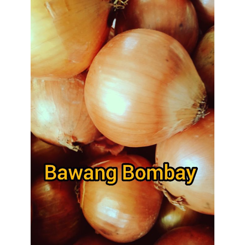 

BAWANG BOMBAY SUPER RP 22.000 / KG