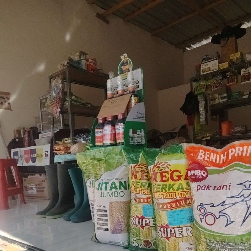 BENIH PADI PREMIUM JUMBO (INPARI 32&CIHERANG)
