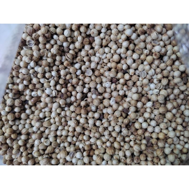 

KETUMBAR MURNI 1 KG PILIHAN TERBAIK PREMIUM 100%