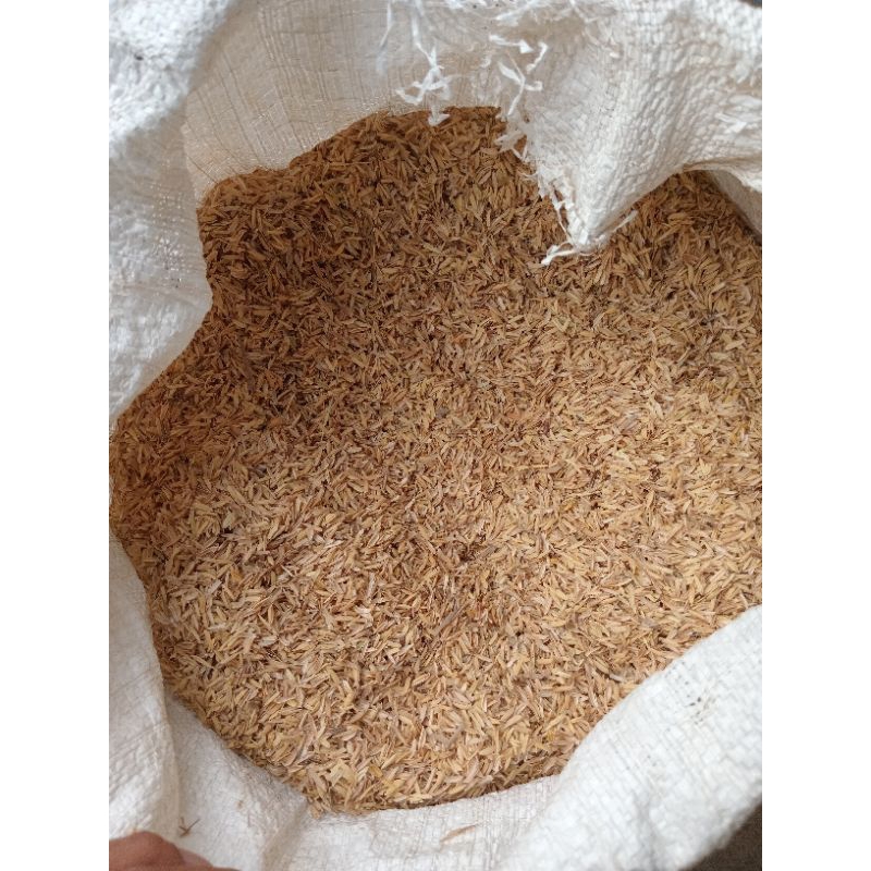 Sekam mentah,sekam padi 1kg