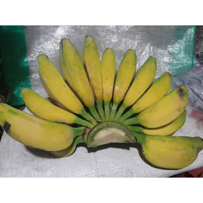

PISANG KEPOK LOKAL 1 SISIR , RASA LBH ENAK