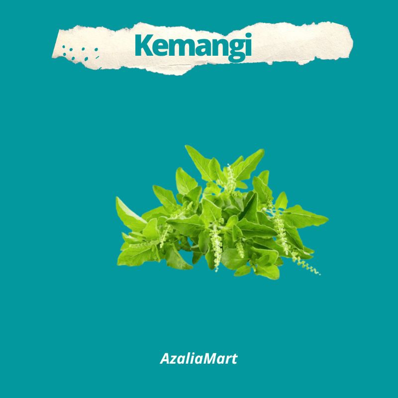 

Kemangi Daun Kemangi Fresh Dan Bersih
