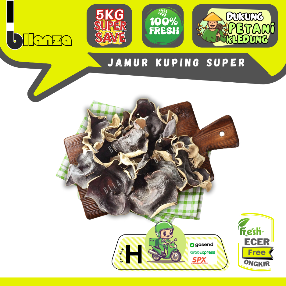 

Bllanza | Jamur Kuping SUPER — Sahabat Makan Sayur ECER (H)