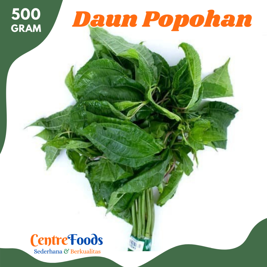 

DAUN Popohan - Pohpohan Leaves Fresh | 500gr [ Harga Per 0,5 Kg ]