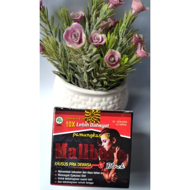 (cod)kapsul malboro original 100 %