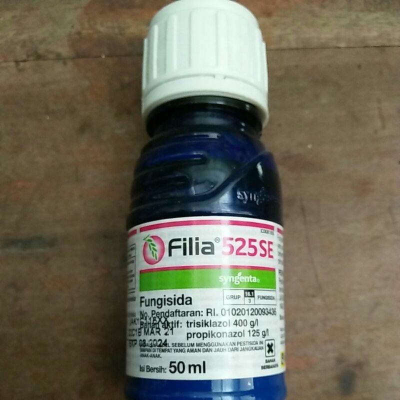 filia50ml