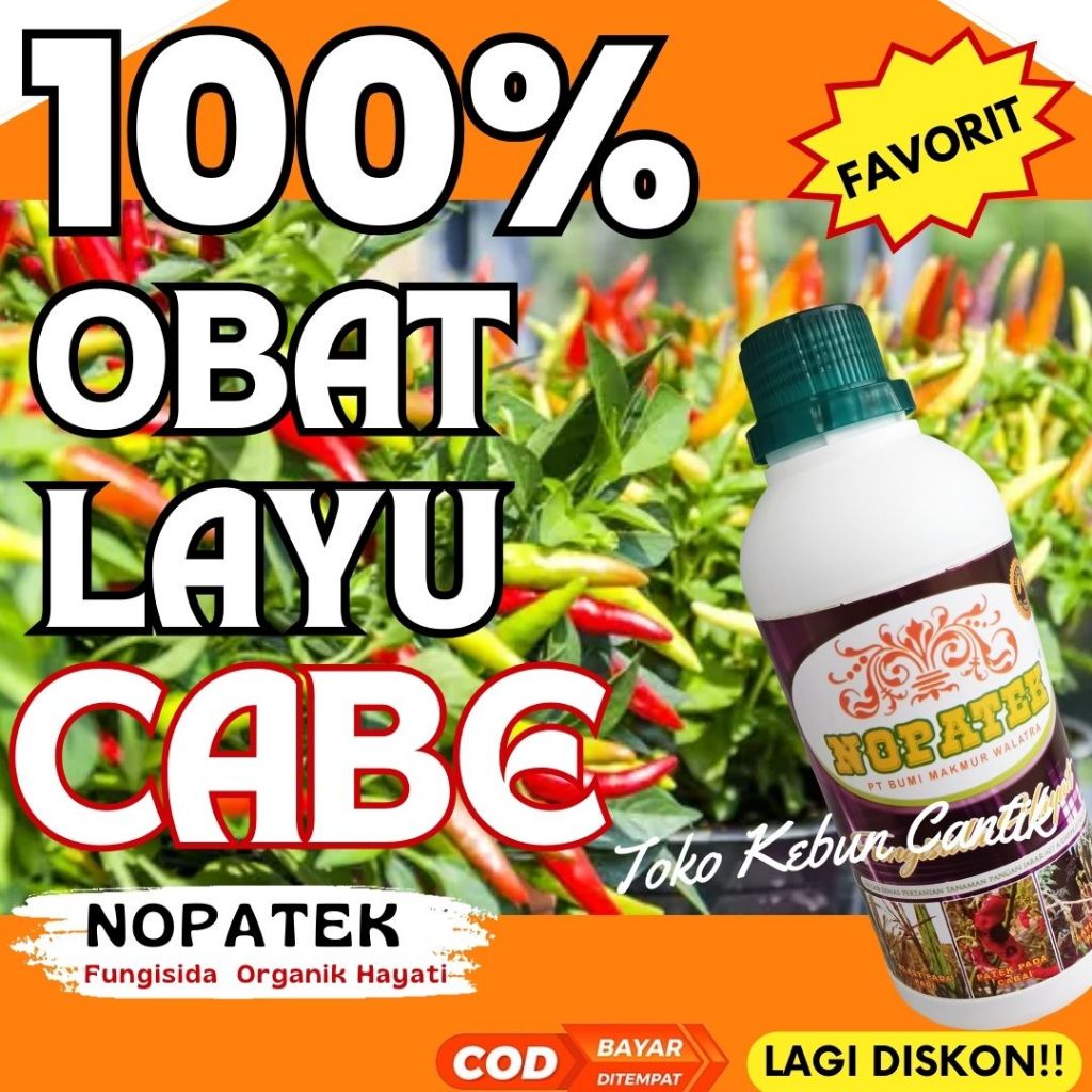 NOPATEK Fungisida Organik Layu Fusarium Cabai – Obat Anti Layu Fusarium Cabai Ampuh, Solusi Layu Fus