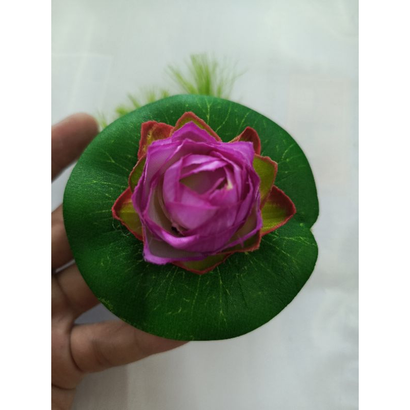 bunga teratai dekorasi kolam aqaurium