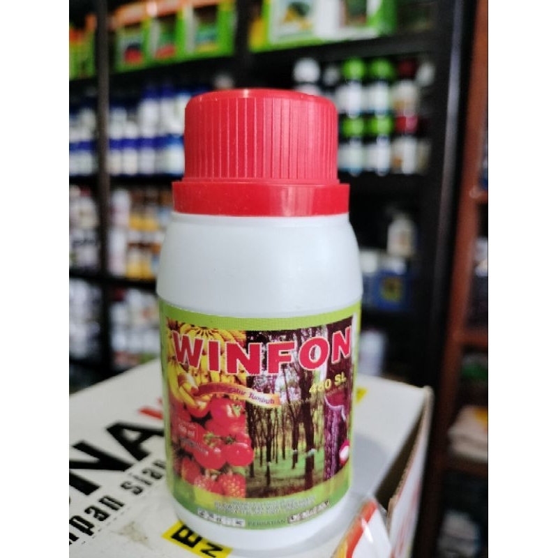 Pematang buah pisang,nanas dll Winfon 100 ml
