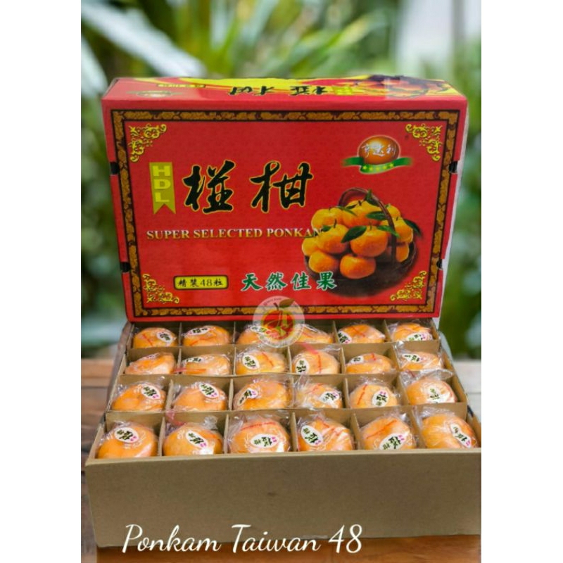 

jeruk ponkam taiwan 48pcs