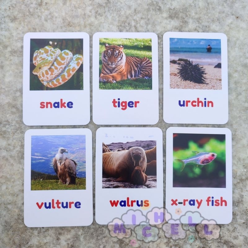 Flashcard Mengenal Hewan - Kartu Belajar Membaca dan Mengenal nama hewan