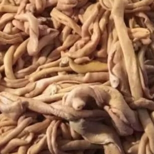 

usus ayam rebus murah banget 1 kg