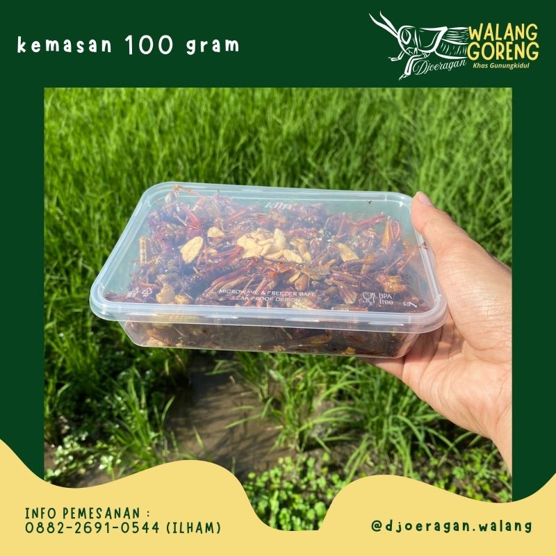 

WALANG GORENG 1 Toples 100gr