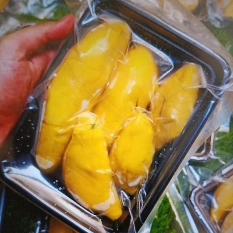 durian musang king / duren