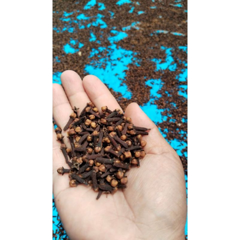 

Cengkeh Murni 100% Alami - GGS