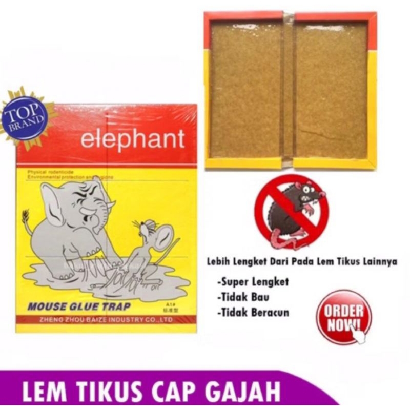 

lem papan Elephant 1pcs