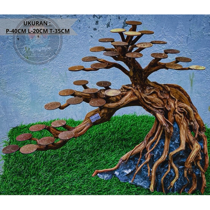 Bonsai Aquascape ukuran Xl Cocok Buat Aquarium ukuran 60cm up