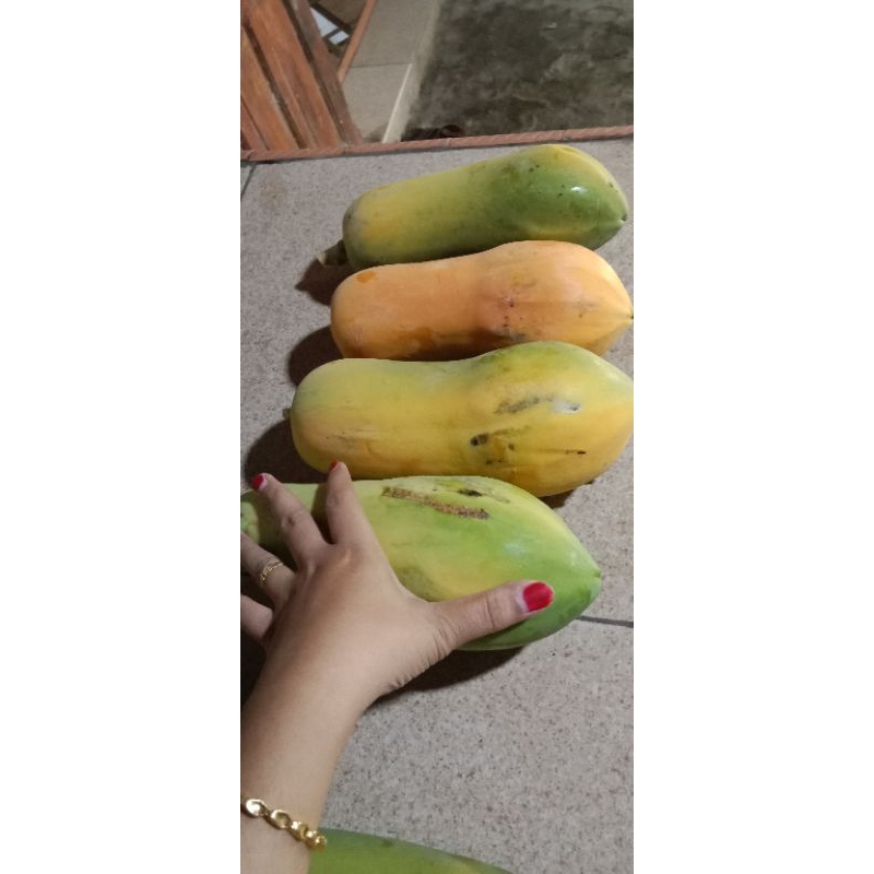 

pepaya buah