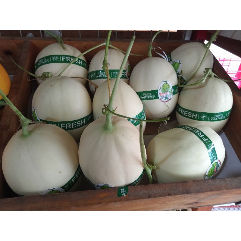 

Melon Hidroponik | Melon Orange Lavender | melon Kirani premium jual per butir