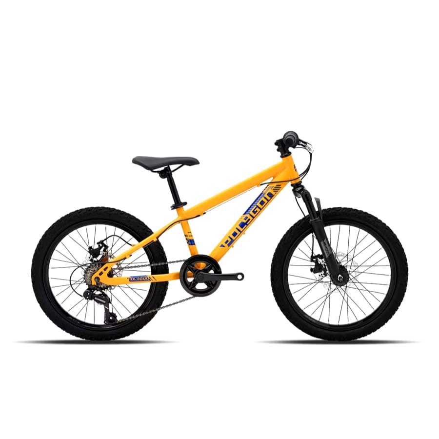 MTB 20 Inch Polygon Maze M20 Sepeda Gunung Anak Polygon Maze
