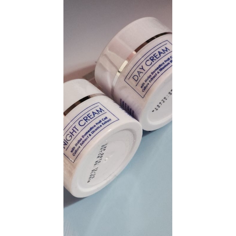 PAKET DIAMOND BEAUTY DAY & NIGHT CREAM MSI ORIGINAL MEDAN