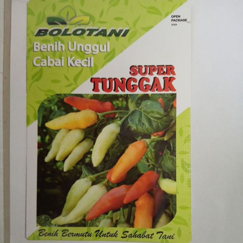 Benih Unggul Cabai Kecil || SUPER TUNGGAK