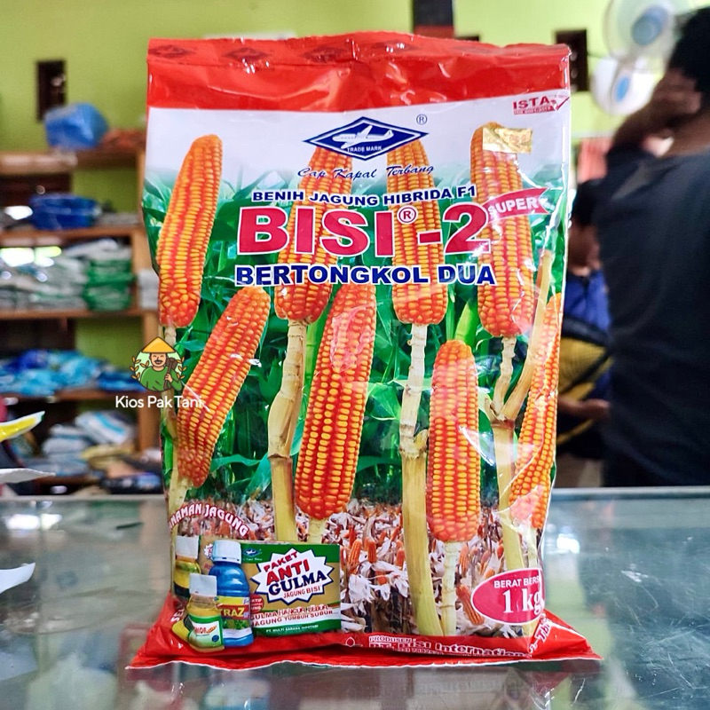 Benih Jagung Bisi 2 1kg Cap Kapal Terbang