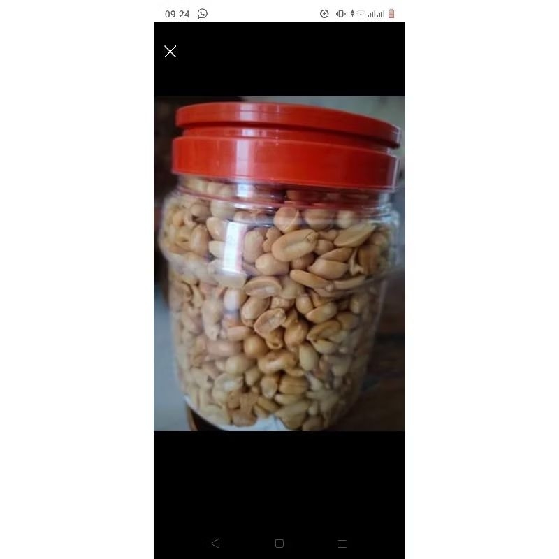 

Kacangbawangrumahan