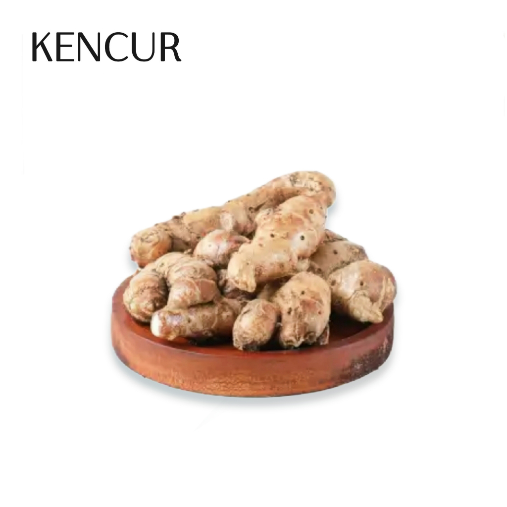 

Kencur Cikur Tua Wangi Fresh