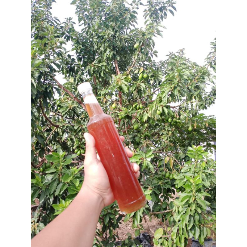 

Madu murni 900 ml asli tanpa bahan pengawet free packing buble wrap dan kardus