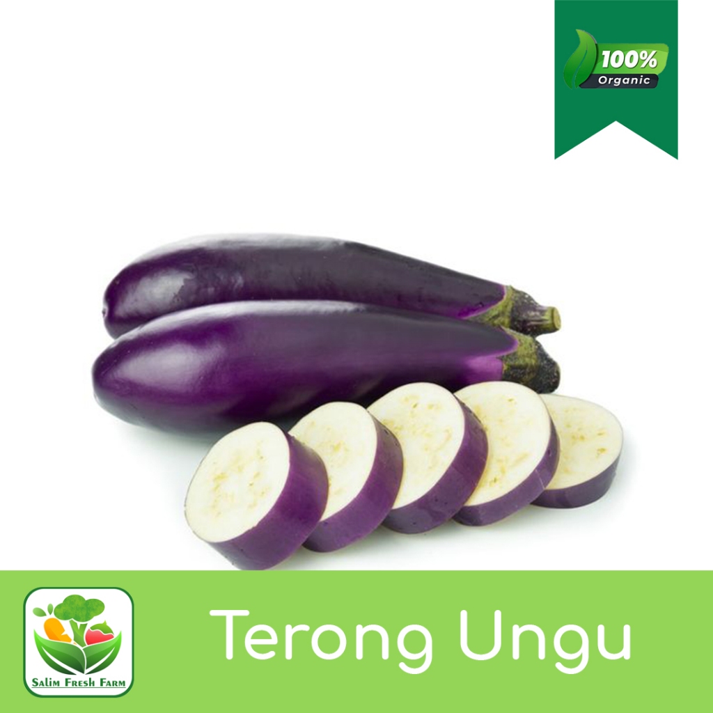 

Terong ungu panjang