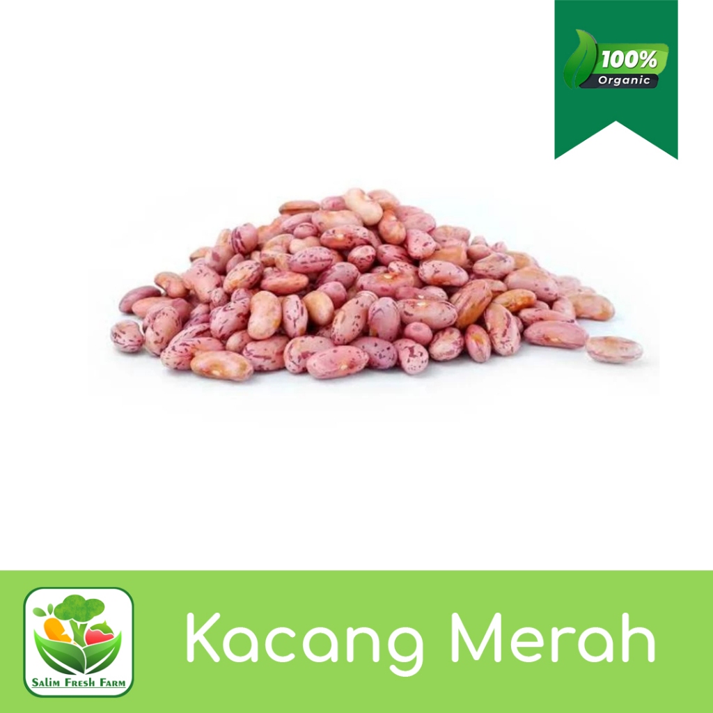 Kacang merah/Kacang merah 1kg/Kacang merah organik/Kacang merah segar