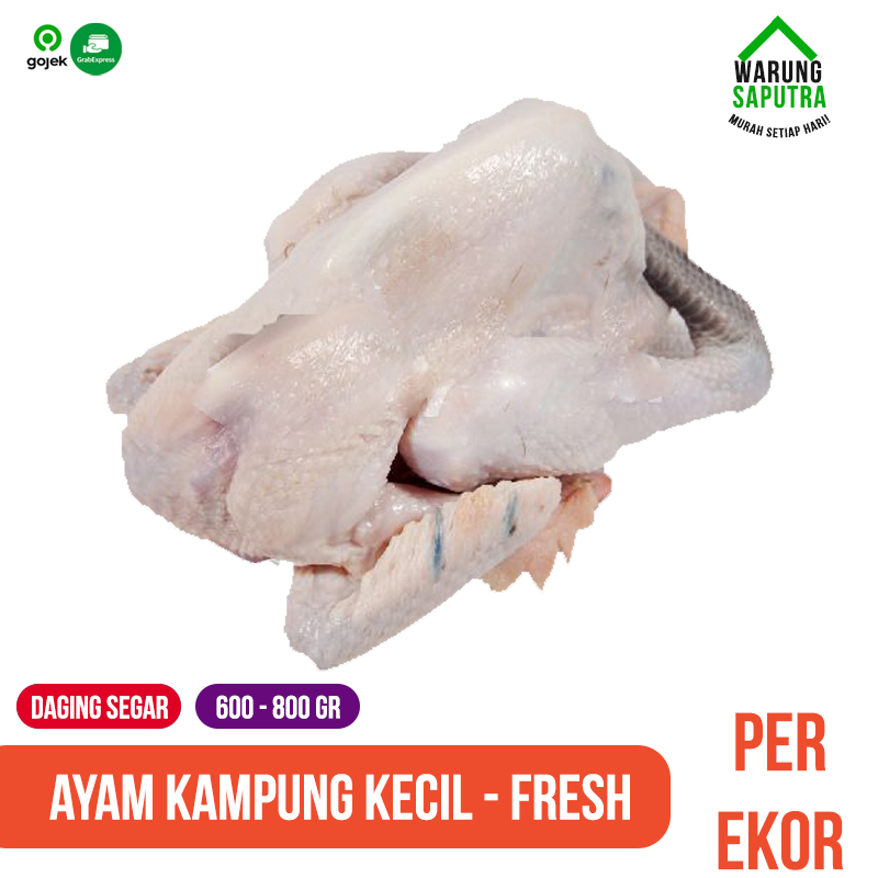 

Ayam Kampung Kecil Utuh per ekor