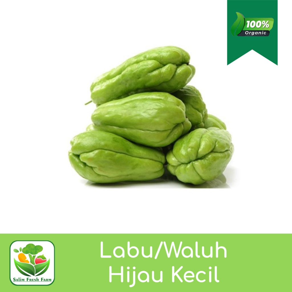 

Labu hijau/Waluh kecil