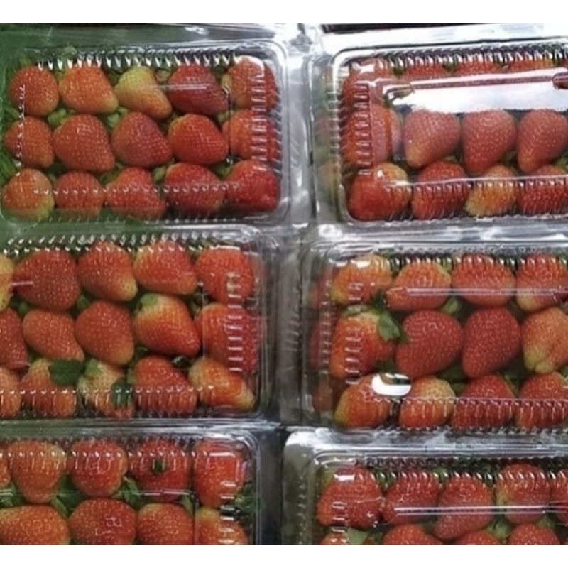 

Buah | Strawberry Pack