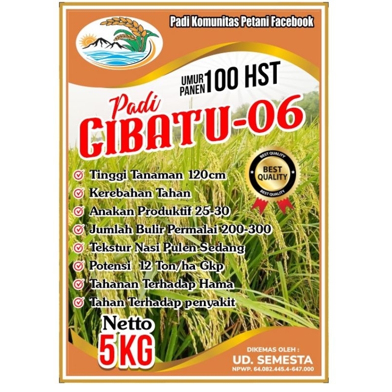 PADI CIBATU 06, PADI GALUR UNGGUL BERBOBOT