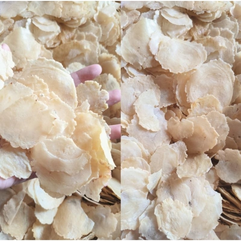 

krecek belinjo + rampelan blinjo