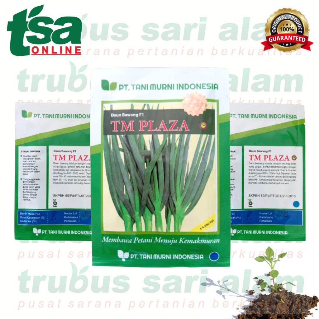 TM PLAZA Benih Biji bibit sayur sayuran murah Daun Bawang isi 5000 Biji