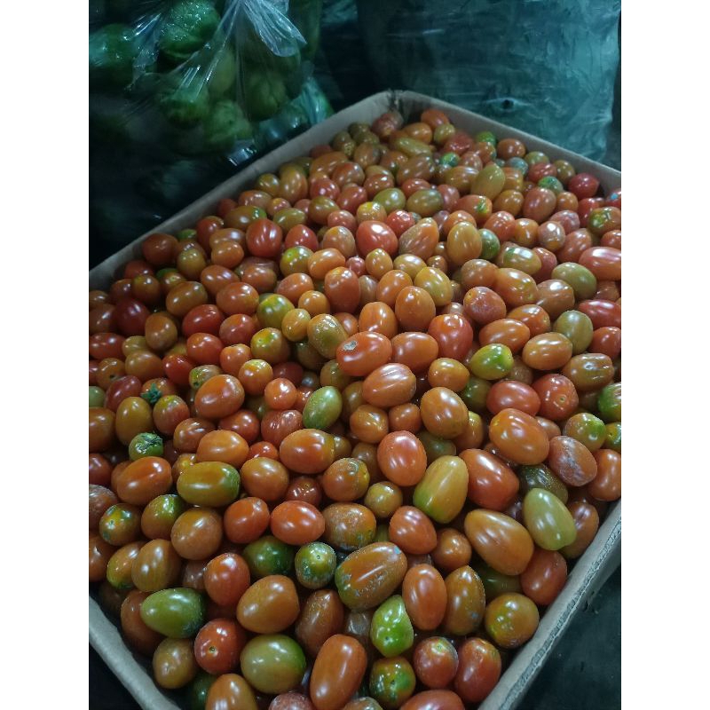 

Toman merah segar 500 gr / tomat merah Murah 1 kg / tomat merah 1000 gr