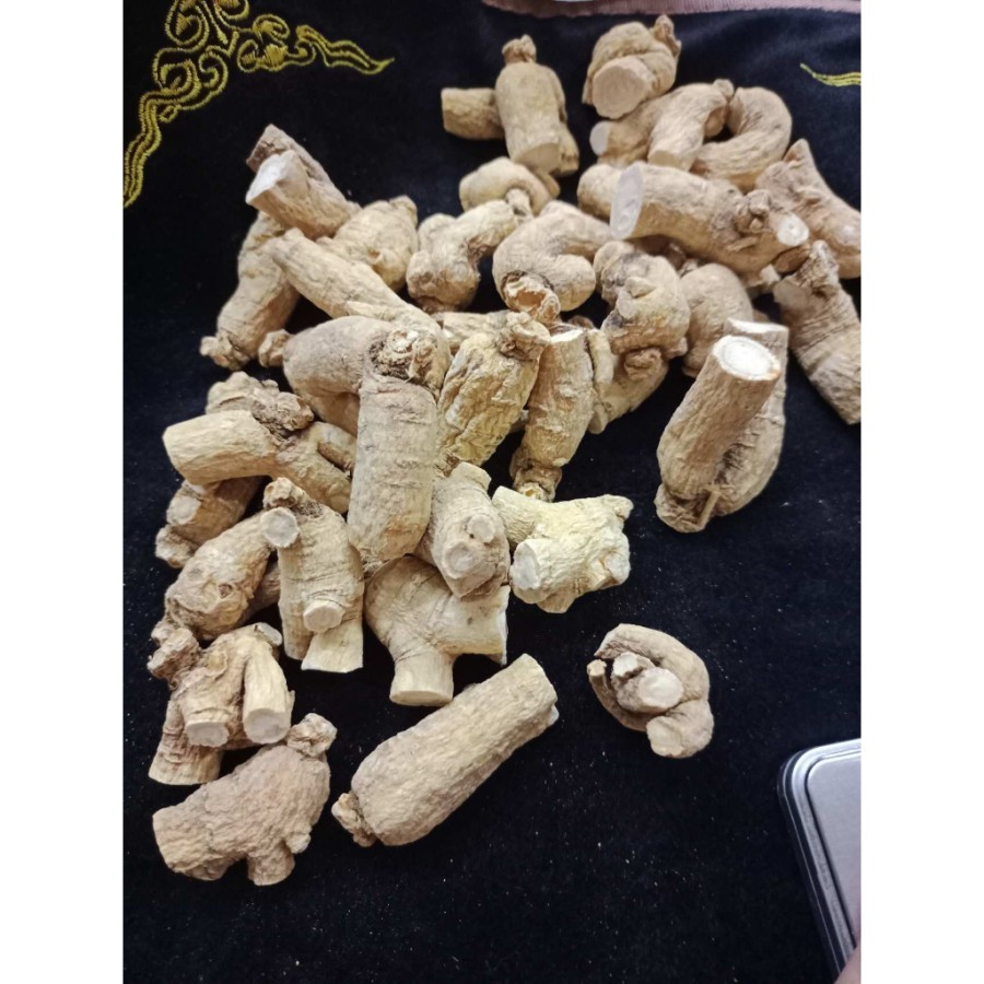 

Kepala American Ginseng (Yong Sem /西洋参头)