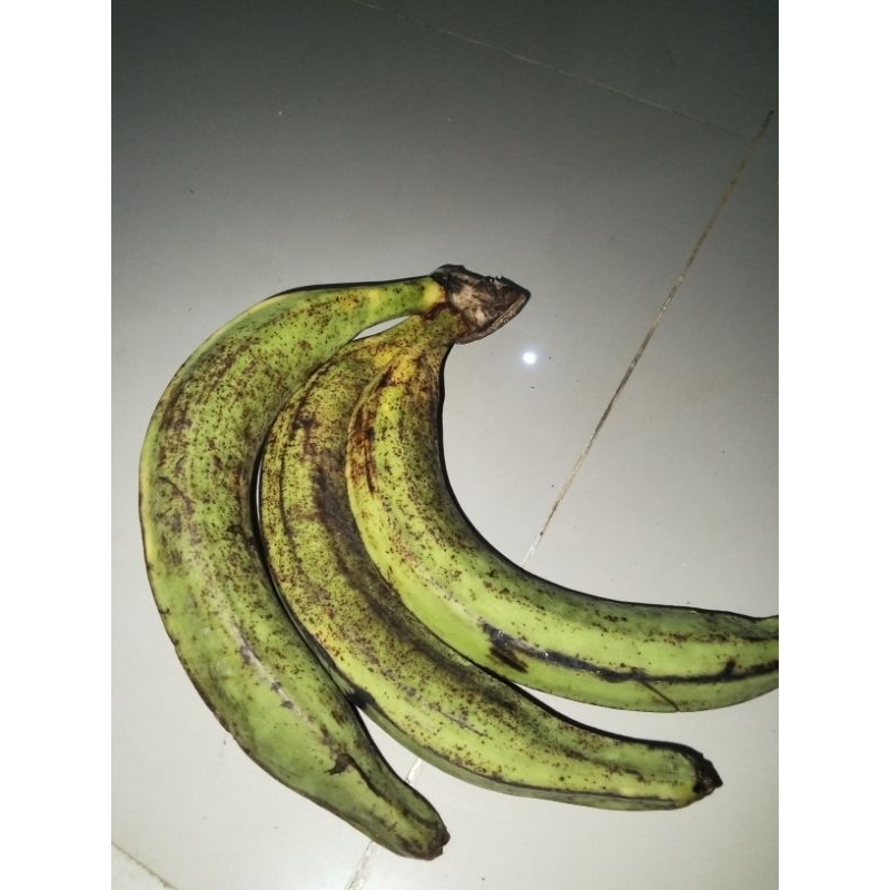 

pisang tanduk asli